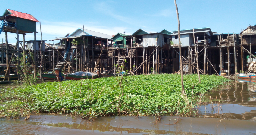 Kampong Phluk Floating Villages Tours