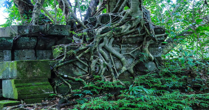 Beng Mealea Koh Ker Tours