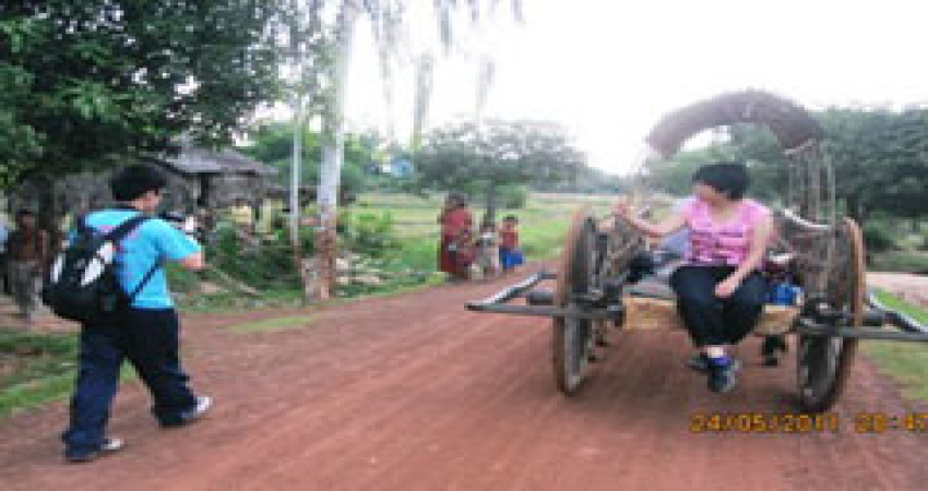 Experienced OxCart/Buffalo Tours