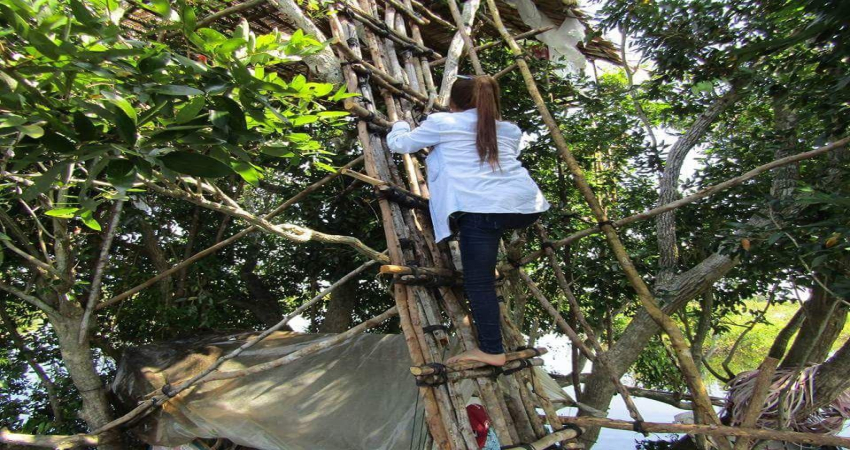 Boeung Pearaing Birds Watching Tours